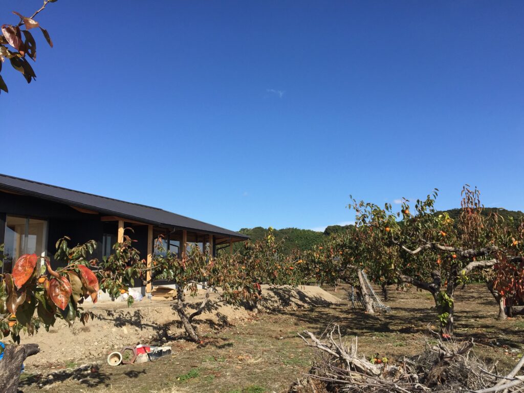 岐阜県本巣市「本巣の家」木造平屋建　現場