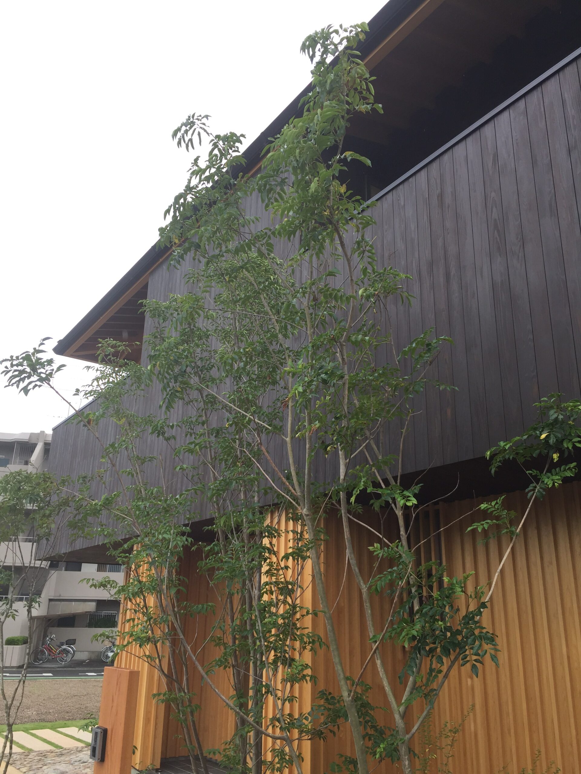 愛知県小牧市「桑原木材㈱モデルハウス」　国産材　木の家　完了検査