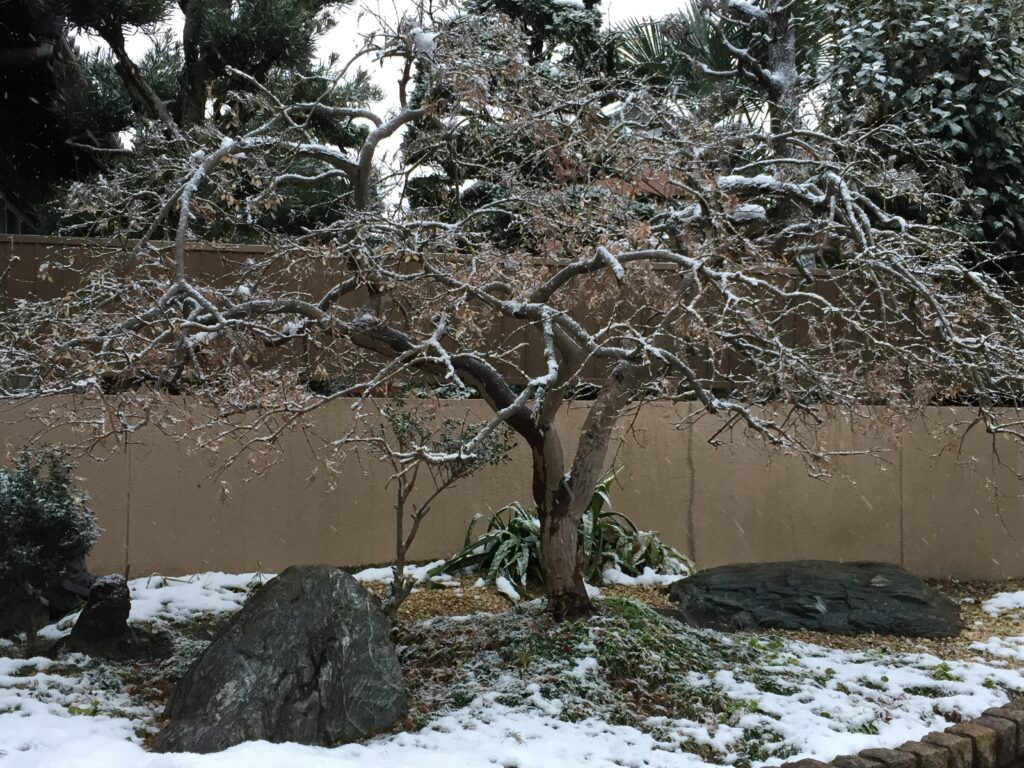 岐阜　岐阜市　「築40年ビル　住宅リノベーション」　ビルリノベ　現場