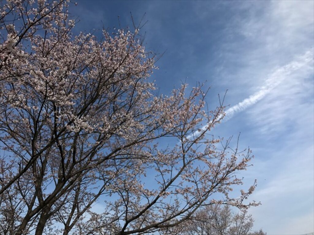 ウォーキング　138タワー