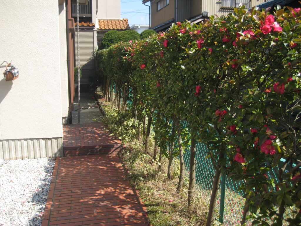 福井県福井市「和敬の家」木造２階建　実施設計中