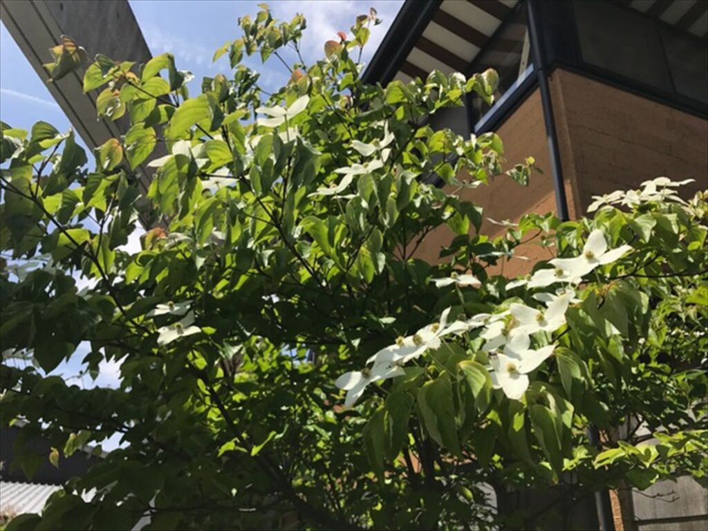 まったりとした休日