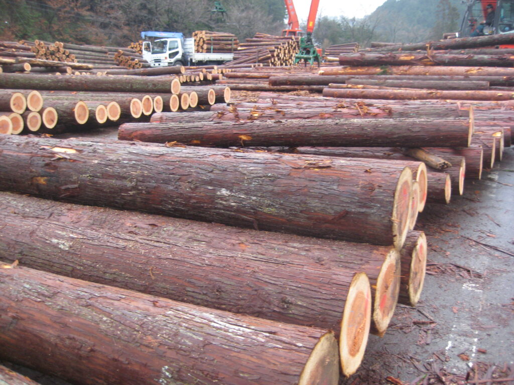 進行中のプロジェクトで東白川村に行ってきました。