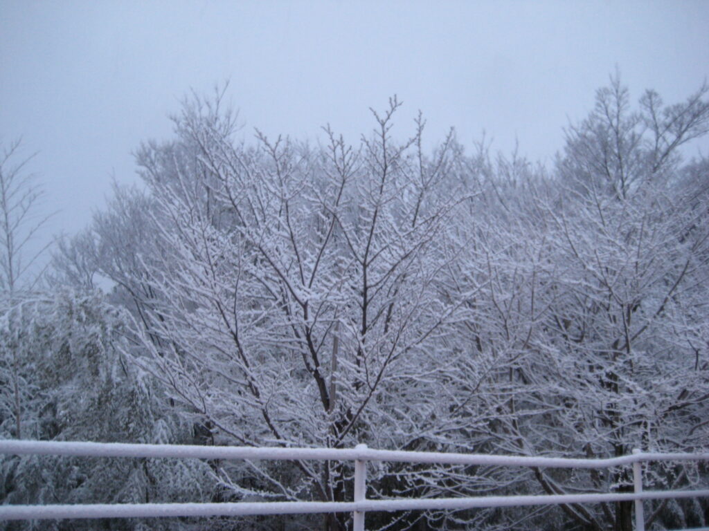 愛知県犬山市「犬山プロジェクト」リノベーション　現場